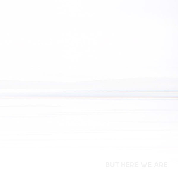 Foo Fighters | But Here We Are | Album