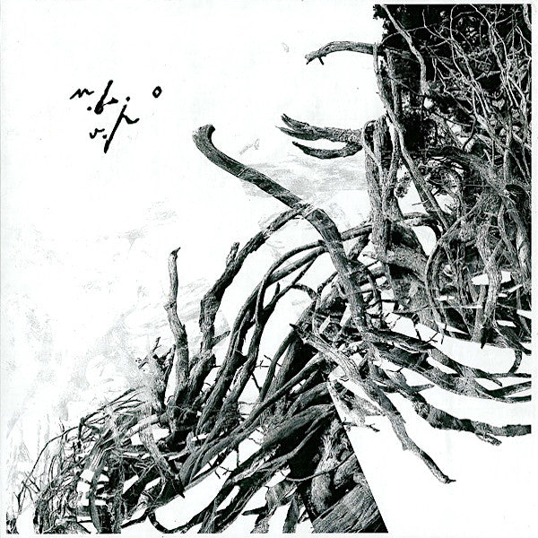 Negura Bunget | Vîrstele pămîntului | Album-Vinyl