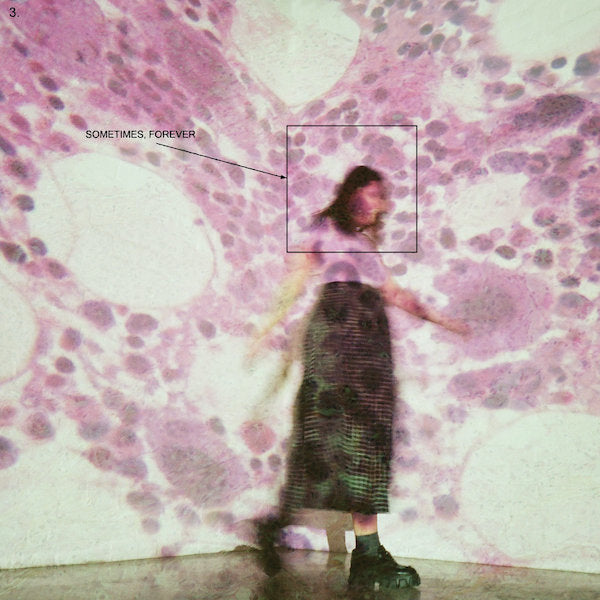 Soccer Mommy | Sometimes, Forever | Album