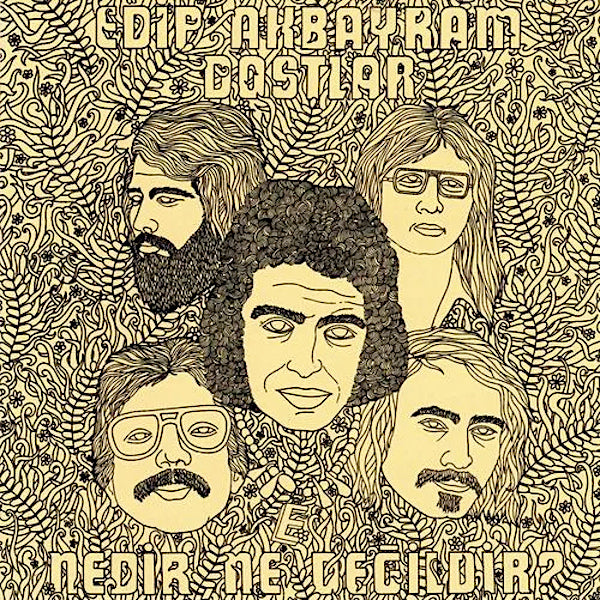 Edip Akbayram | Nedir Ne Değildir? (avec Dostlar) | Album