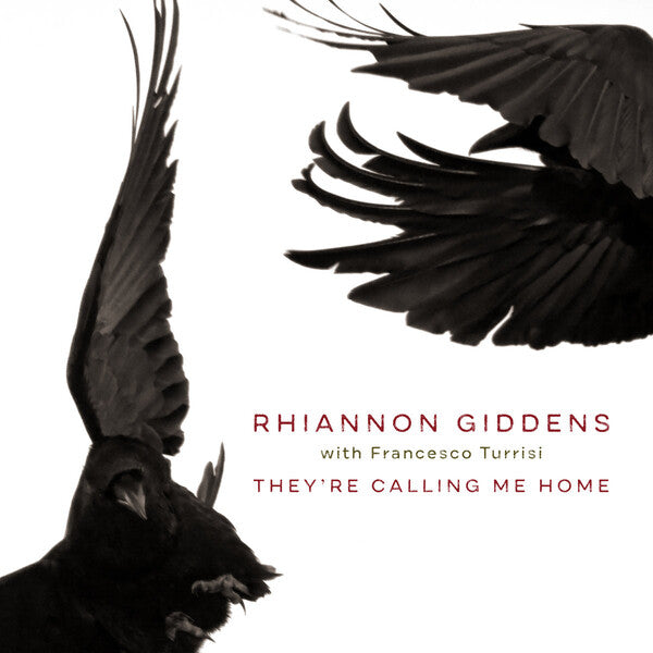 Rhiannon Giddens | They're Calling Me Home (w/ Francesco Turrisi) | Album