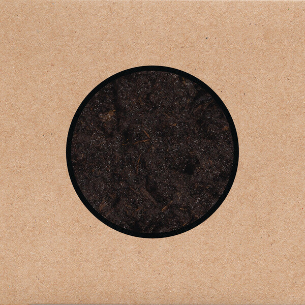 Swans | Birthing | Album