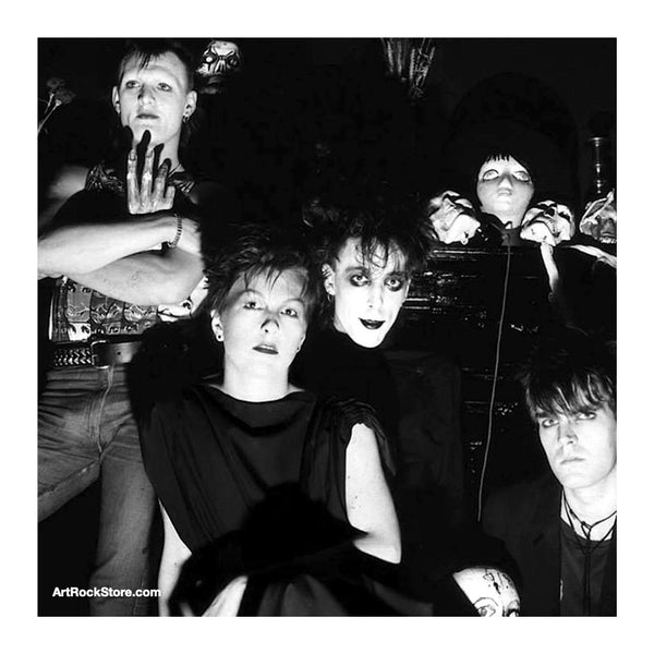 エイリアンセックスフィーンド | アーティスト – Artrockstore