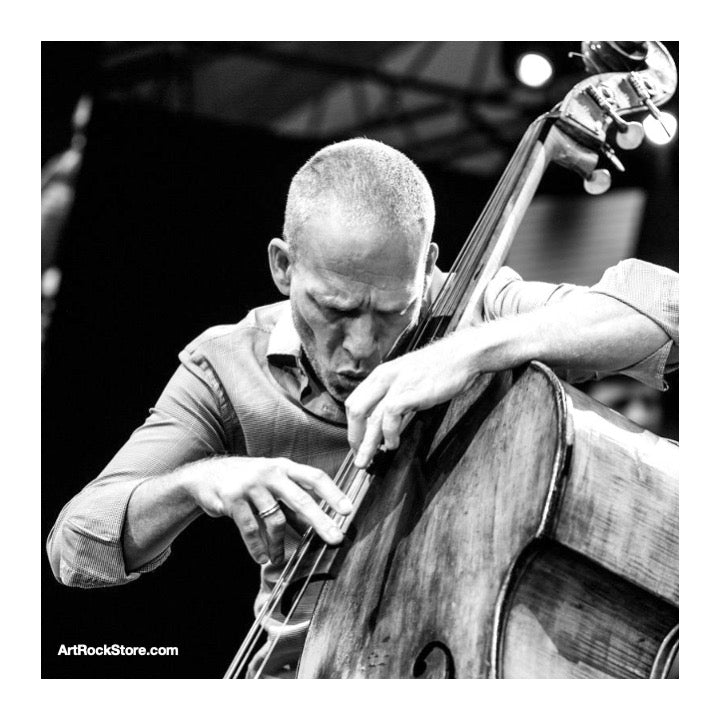 Avishai Cohen | Artist