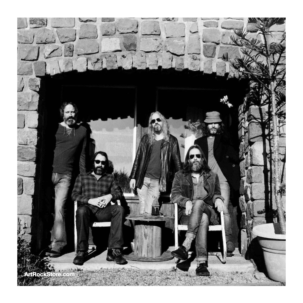 Chris Robinson Brotherhood | Artist
