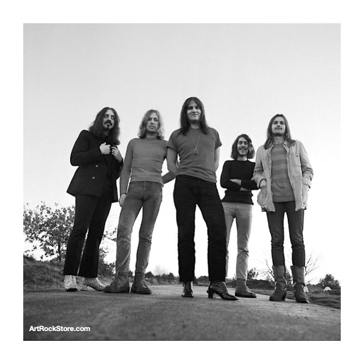 Cuby + Blizzards | Artist