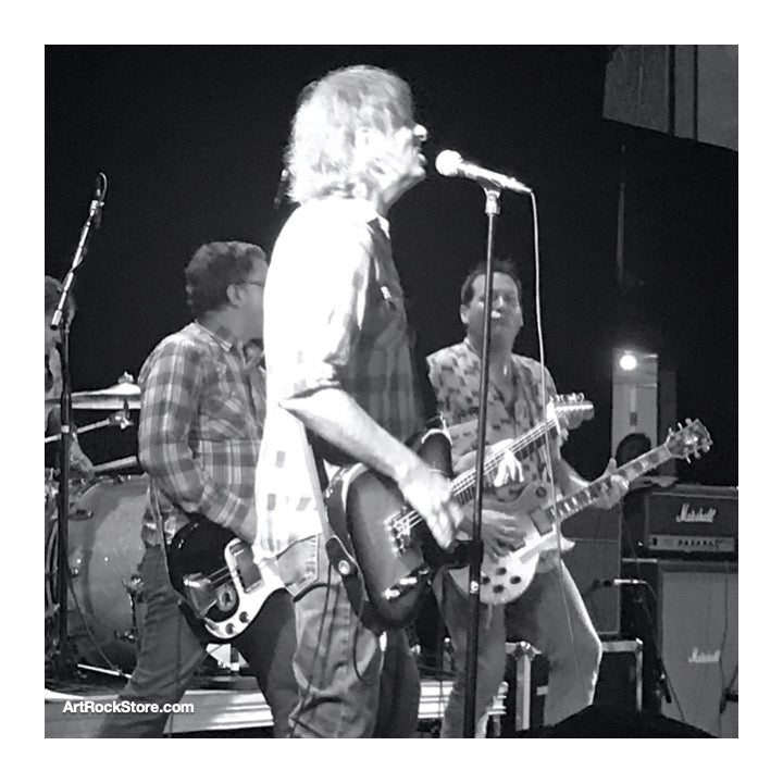 Hot Snakes | Artist