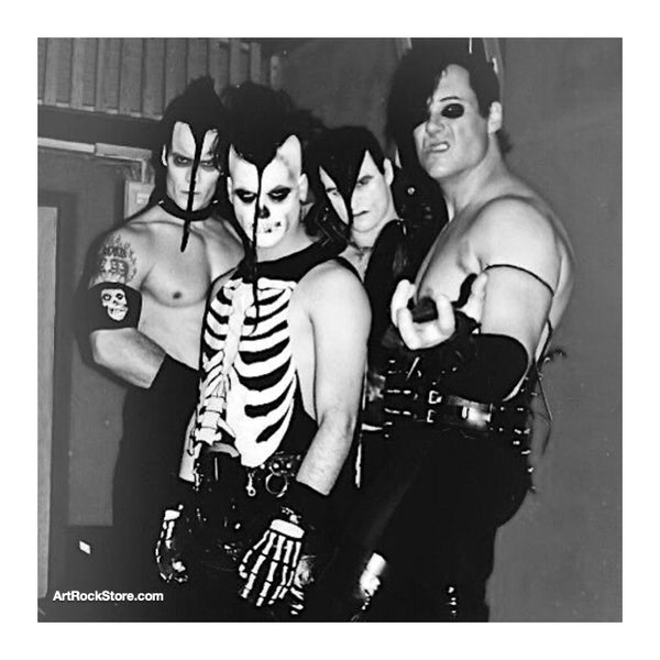 Misfits-Band_grande.jpg?v=