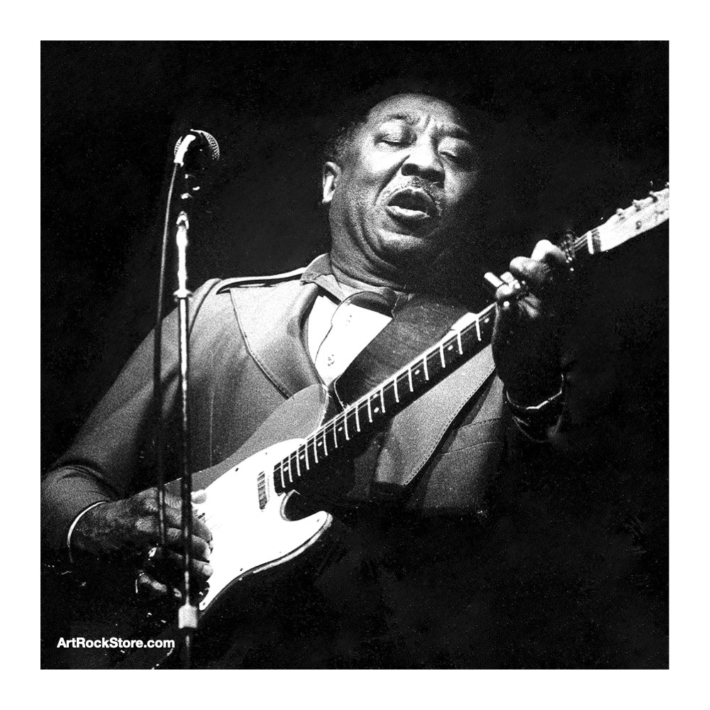 Muddy Waters | Artist
