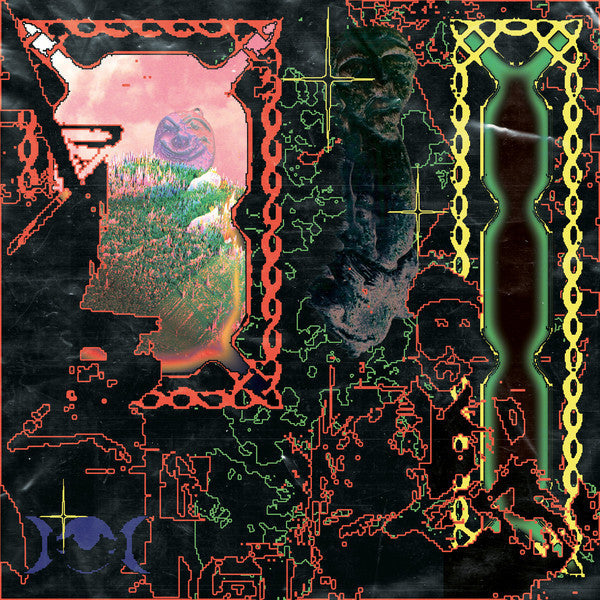 Slugabed | Any Attempt to Control the Environment.. | Album-Vinyl