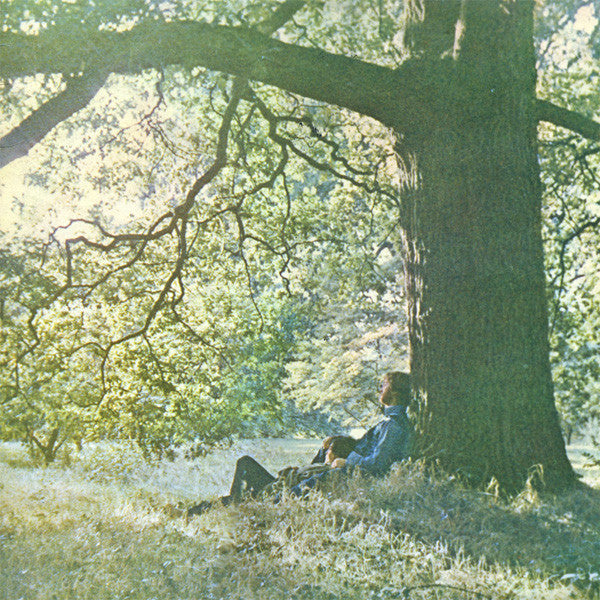 Yoko Ono | Yoko Ono / Plastic Ono Band | Album-Vinyl