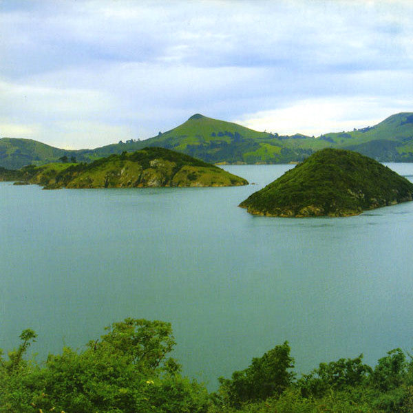 The Dead C | Secret Earth | Album-Vinyl