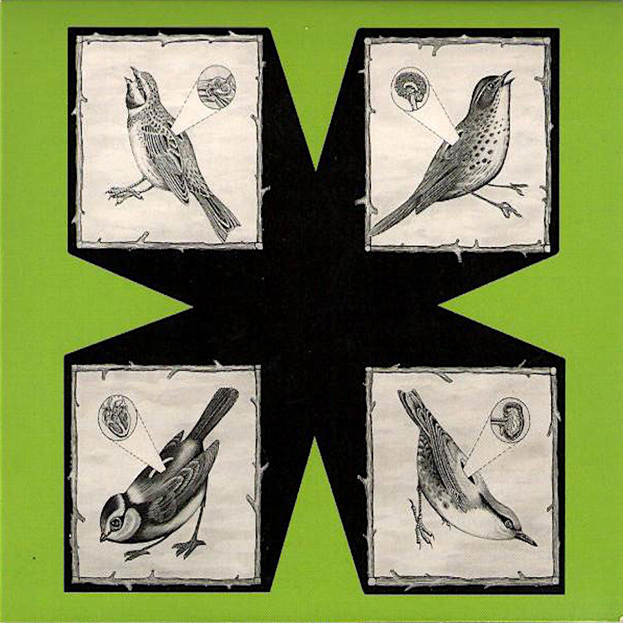 North Sea Radio Orchestra | Birds | Album-Vinyl