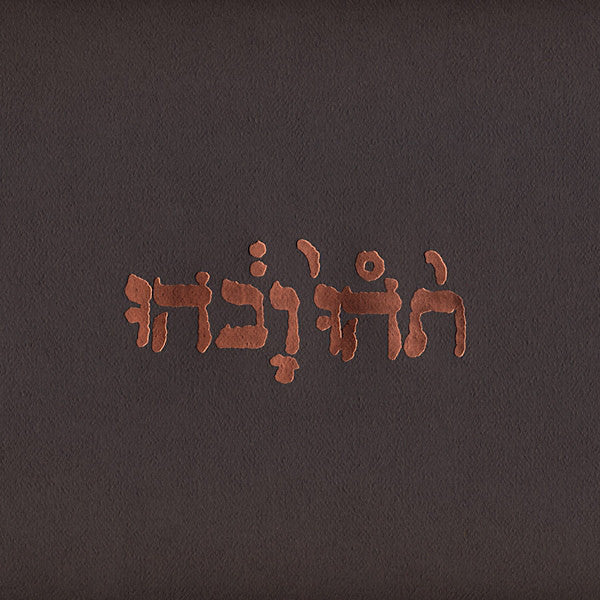 Godspeed You! Black Emperor | Slow Riot for New Zero Kanada (EP) | Album-Vinyl