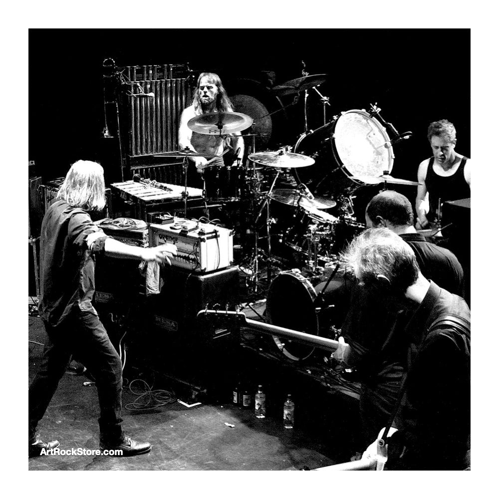 Swans | Artist
