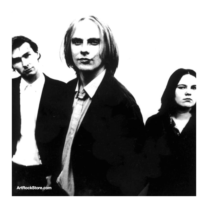 The Auteurs | Artist
