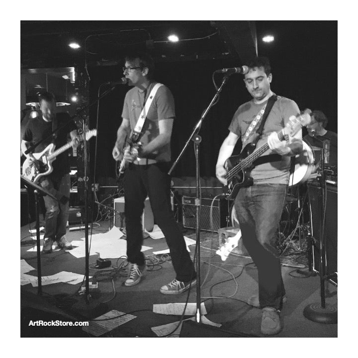 The Chills | Artist