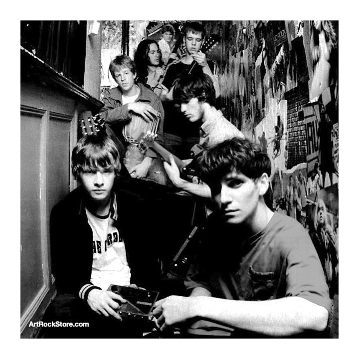 The Coral | Artist