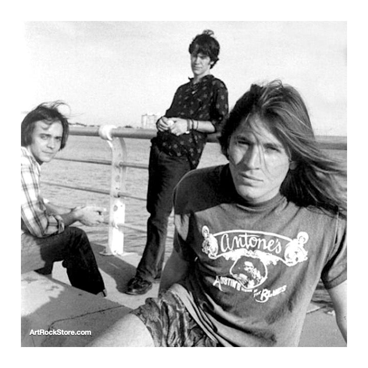 The Lemonheads | Artist
