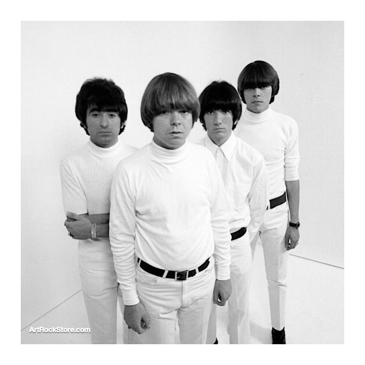 The Standells | Artist
