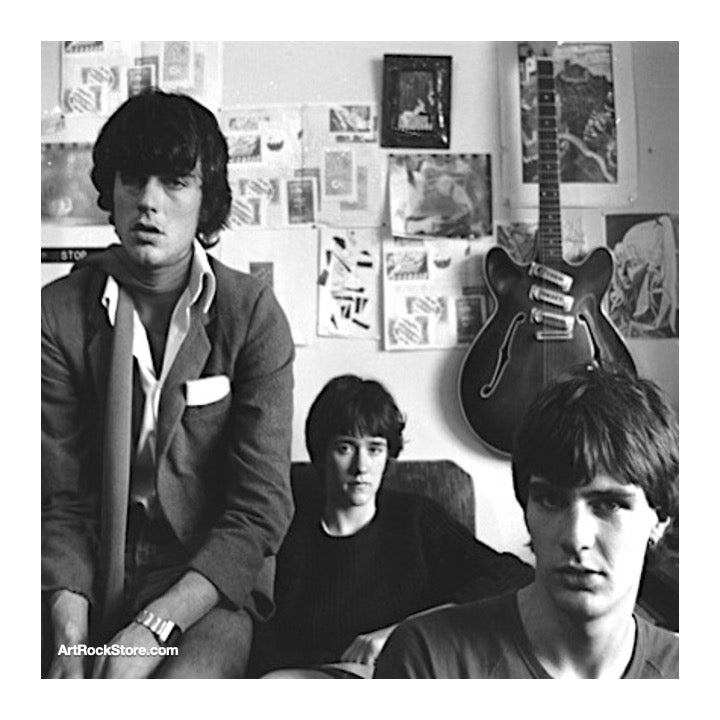 The Verlaines | Artist
