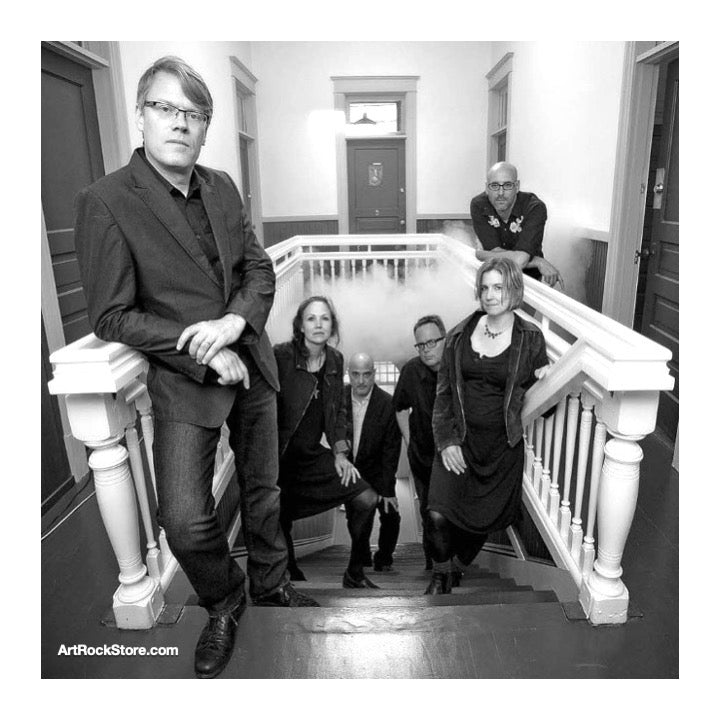 The Walkabouts | Artist