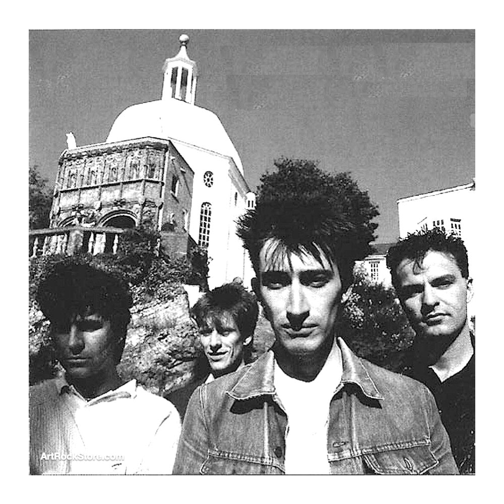 The Chameleons | Artist