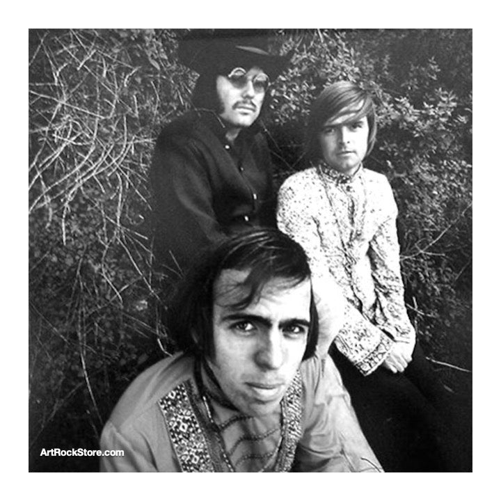 The West Coast Pop Art Experimental Band | Artist