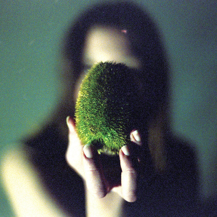 Circuit des Yeux | In Plain Speech | Album-Vinyl