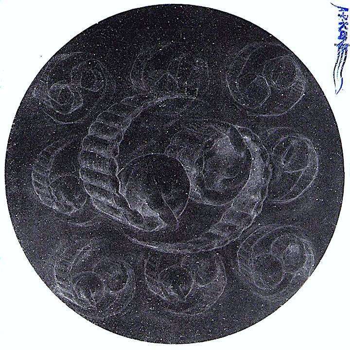 A.R. Kane | 69 | Album-Vinyl