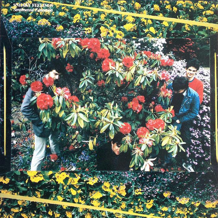 Sneaky Feelings | Sentimental Education | Album-Vinyl