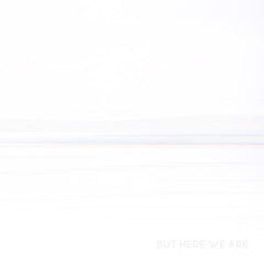 Foo Fighters | Mais nous y sommes | Album