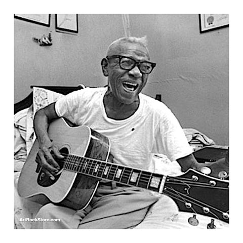 Furry Lewis |  Artist