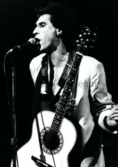 The Kinks | Ray Davies #5 | Limited Edition Print