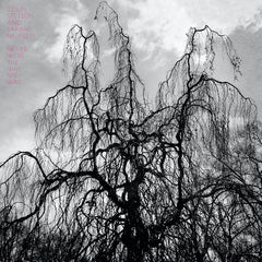 Colin Stetson | Never Were the Way She Was | Album