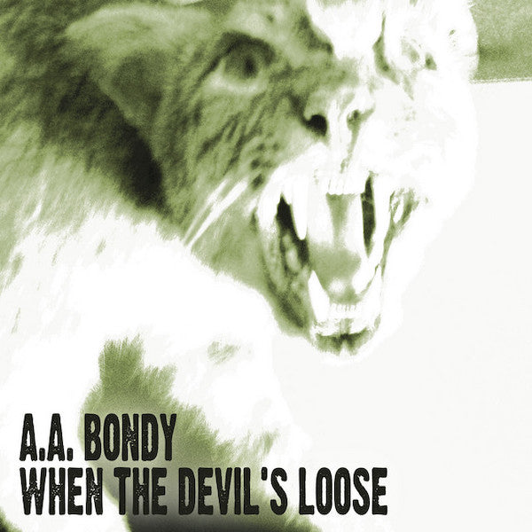 AA Bondy | When the Devil's Loose | Album