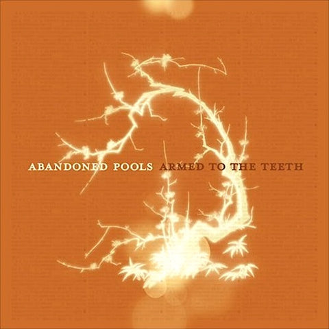 Abandoned Pools | Armed to the Teeth | Album