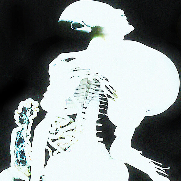 Arca | Entrañas (Mixtape) | Album