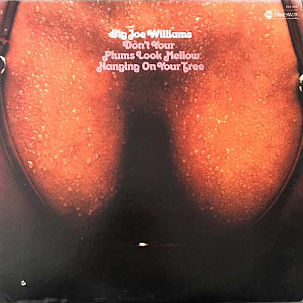 Big Joe Williams | Don't Your Plums Look Mellow Hanging on Your Tree | Album