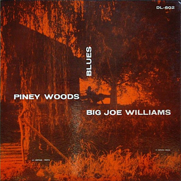 Big Joe Williams | Piney Woods Blues | Album