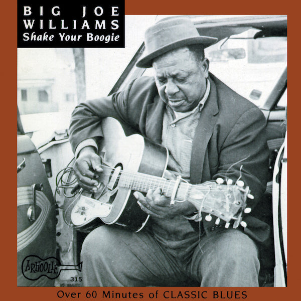Big Joe Williams | Shake Your Boogie (Comp.) | Album