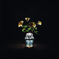 Billy Strings | Renouvellement | Album