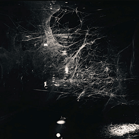 Blind Girls | An Exit Exists  | Album