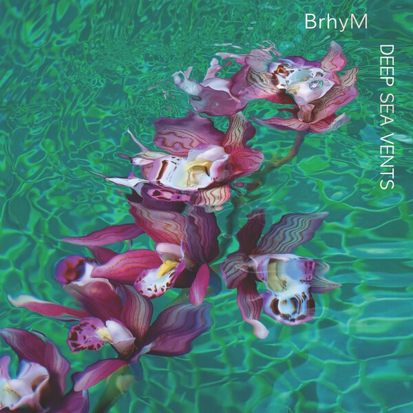 BrhyM | Deep Sea Vents (w/ Bruce Hornsby) | Album