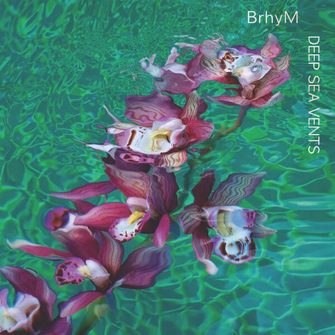 BrhyM | Deep Sea Vents (w/ Bruce Hornsby) | Album