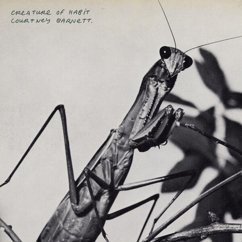 Courtney Barnett | Creature of Habit | Album