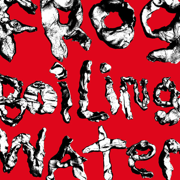 DIIV | Frog in Boiling Water | Album