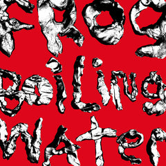 DIIV | Frog in Boiling Water | Album