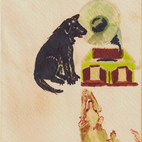 Dwaal Troupe | Lucky Dog | Album