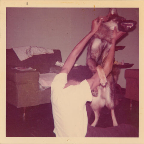 Elucid | I Told Bessie | Album